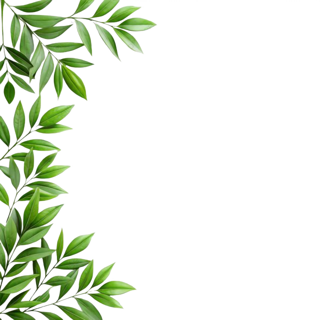 dekor