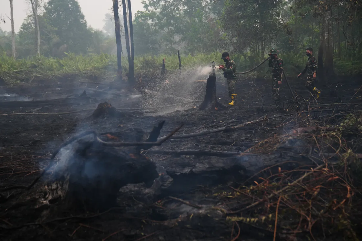 El Niño and Peatland Degradation Intensify Water Crisis in Borneo