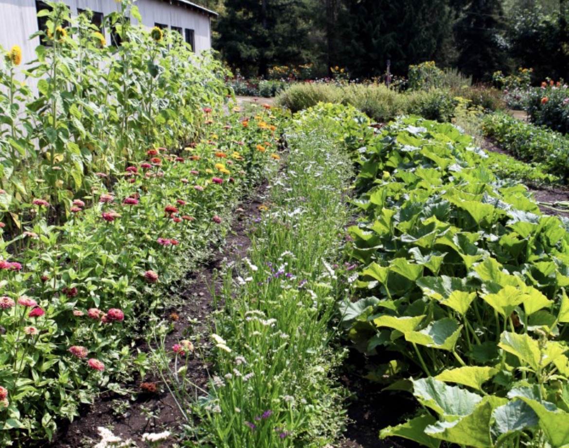 Soil Science: Polycultures Double Carbon Sequestration